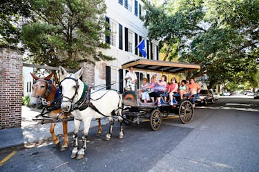 Daytime Group Carriage Tour – Residential District